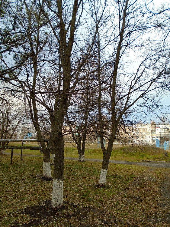 Внутренний двор Красносулинского Металлургического Колледжа.