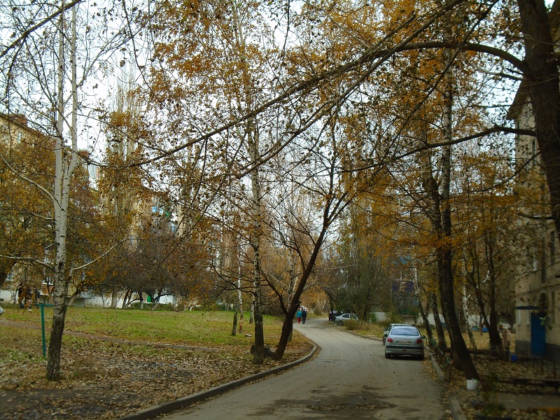 Фото с улице Комарова 6